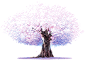 桜空动漫